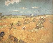 Vincent Van Gogh Wheat Stacks wtih Reaper (nn04) Spain oil painting reproduction